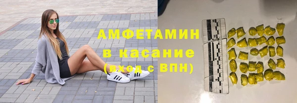 индика Алзамай