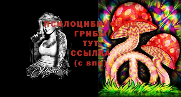 тгк Абдулино