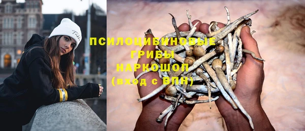 a pvp Алексеевка
